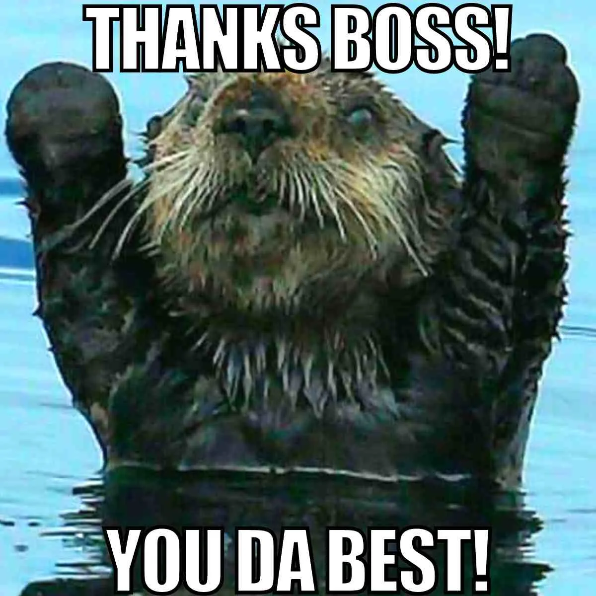 thank you meme